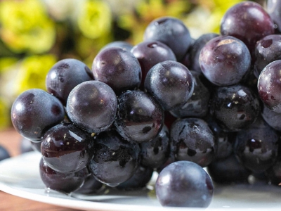 葡萄是热性还是凉性 葡萄的营养价值