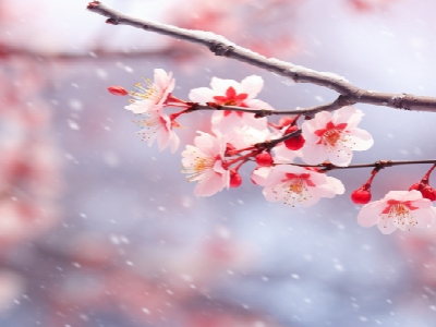 小雪节气吃什么食物养生 小雪节气养生方法
