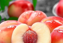 水蜜桃属于凉性还是热性 水蜜桃的营养价值