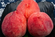 孕妇可以吃水蜜桃吗 水蜜桃对孕妇的益处