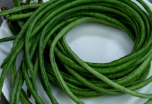 豇豆怎么保存才不会变软 不同保存方法的优缺点