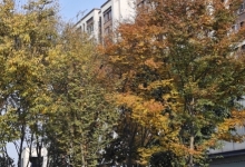 白露节气物候有哪些特点 白露节气的物候特点
