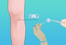 寒露中医建议揉足三里吗 揉足三里的正确打开方式